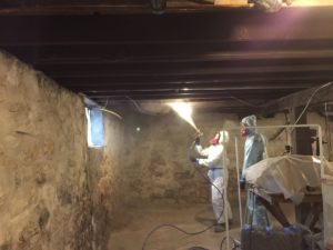 mold removal services 